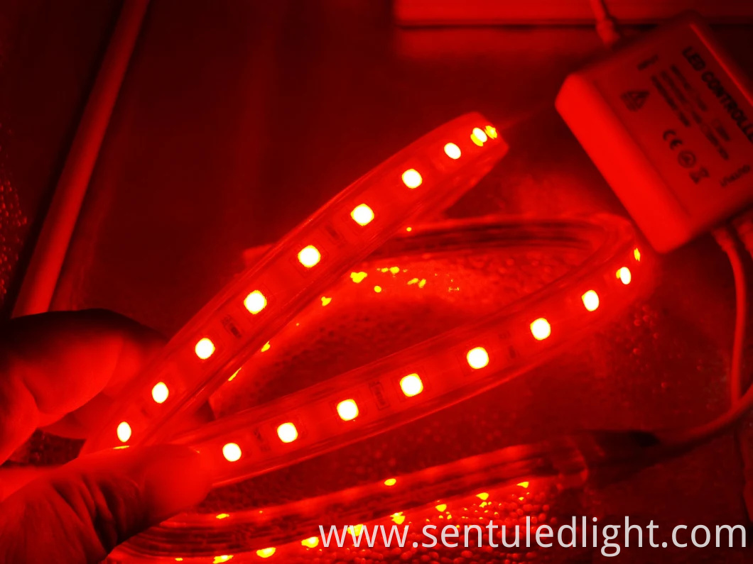 High Quality LED Rope Holiday Light Ledstrip Lighting Manufacturer